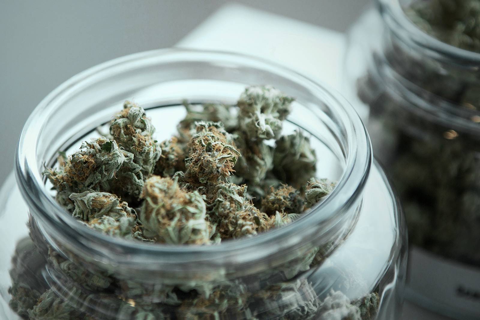 Canada's FREE Online Cannabis Store - Receive Up to 30 gramsame%