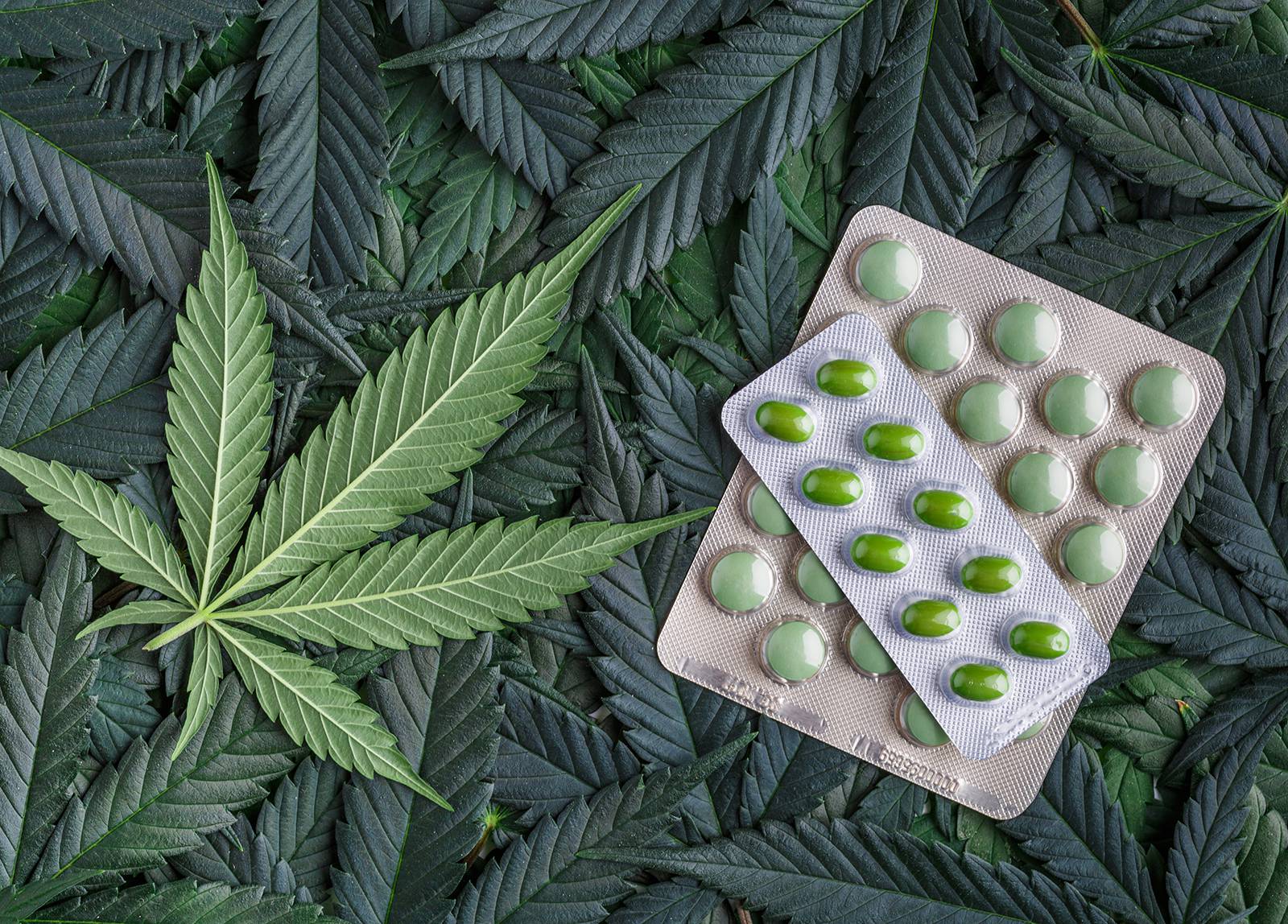 Canada's FREE Online Cannabis Store - Receive Up to 30 gramsame%