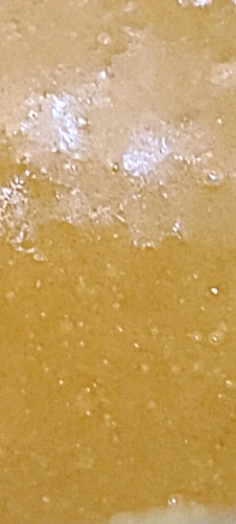 BLUE LOBSTER "LIVE RESIN"