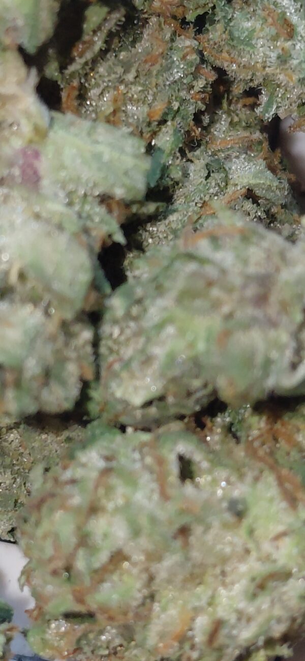DEATH BUBBA - Image 6