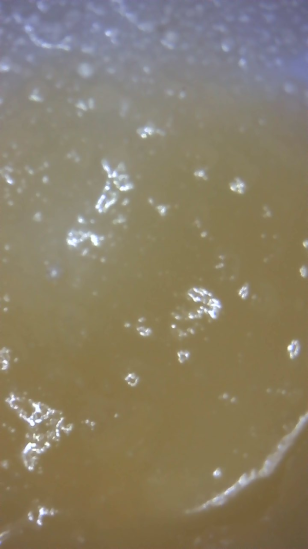 MAC STOMPER "LIVE RESIN" - Image 2