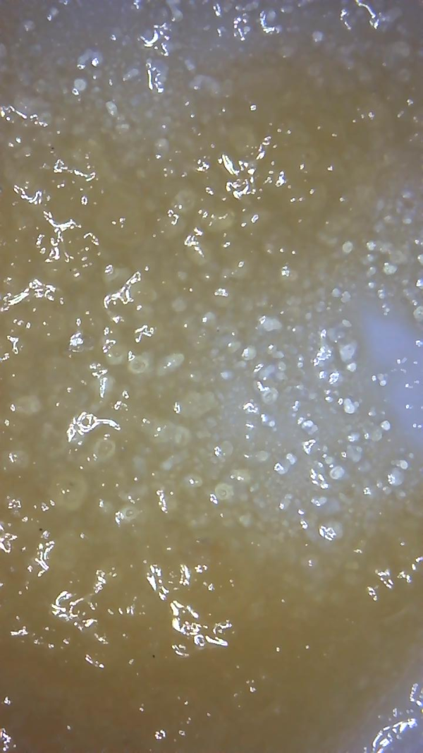 MAC STOMPER "LIVE RESIN" - Image 4