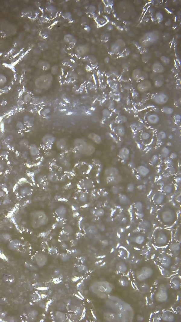 LEMON COOKIES "LIVE RESIN" - Image 2