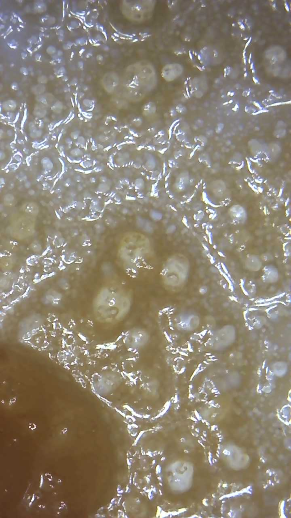 Cookie Monster "LIVE RESIN” - Image 2