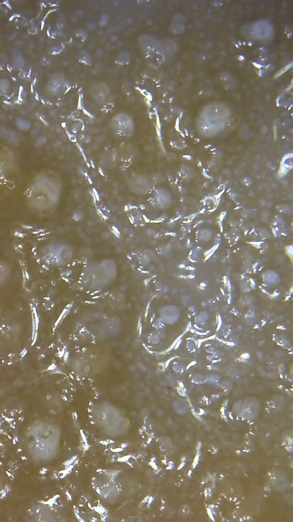 Cookie Monster "LIVE RESIN” - Image 3