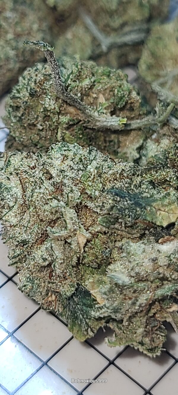 BUBBA KUSH - Image 6