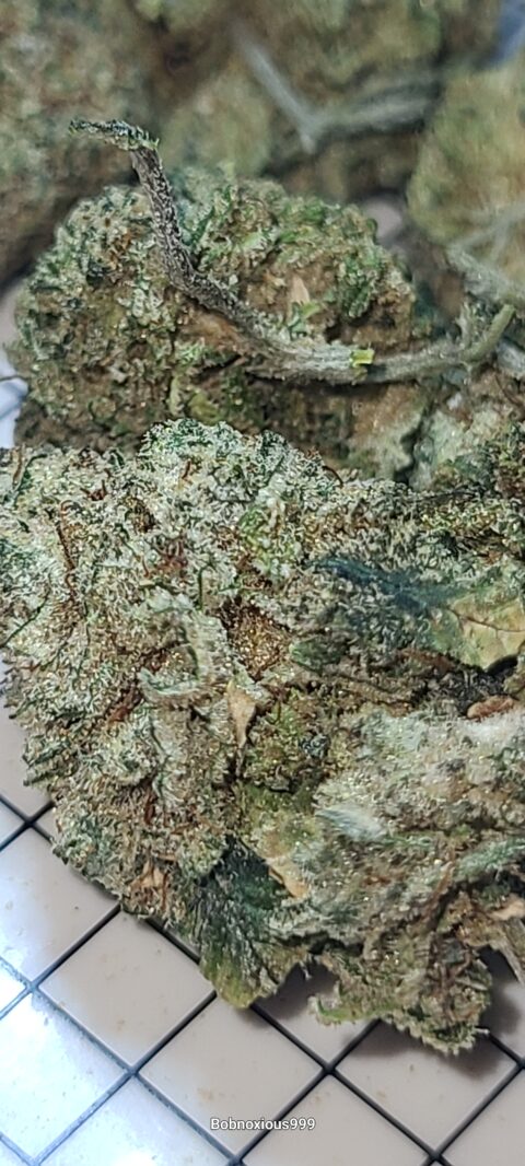 BUBBA KUSH