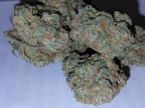 TROPICAL PUNCH