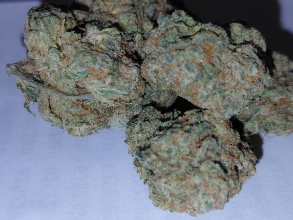 TROPICAL PUNCH