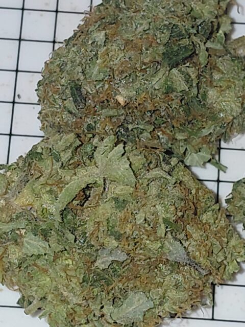 MK Ultra