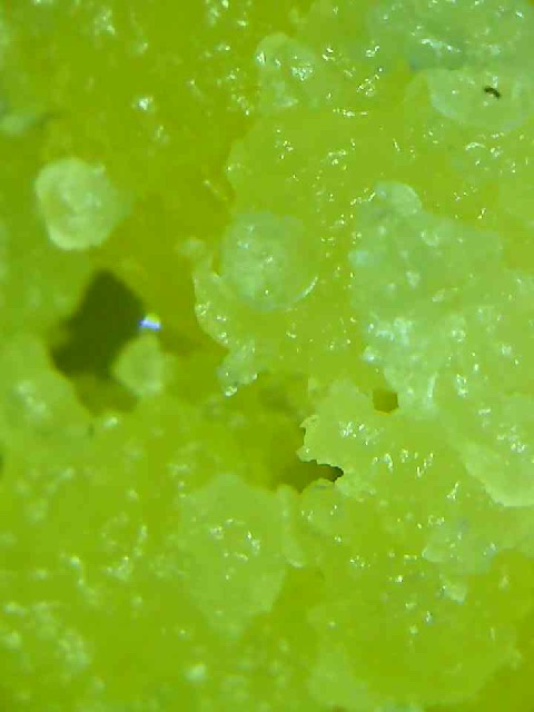 Canada's FREE Online Cannabis Store - Receive Up to 30 grams DURBAN PUNCH DIAMONDS - Image 3