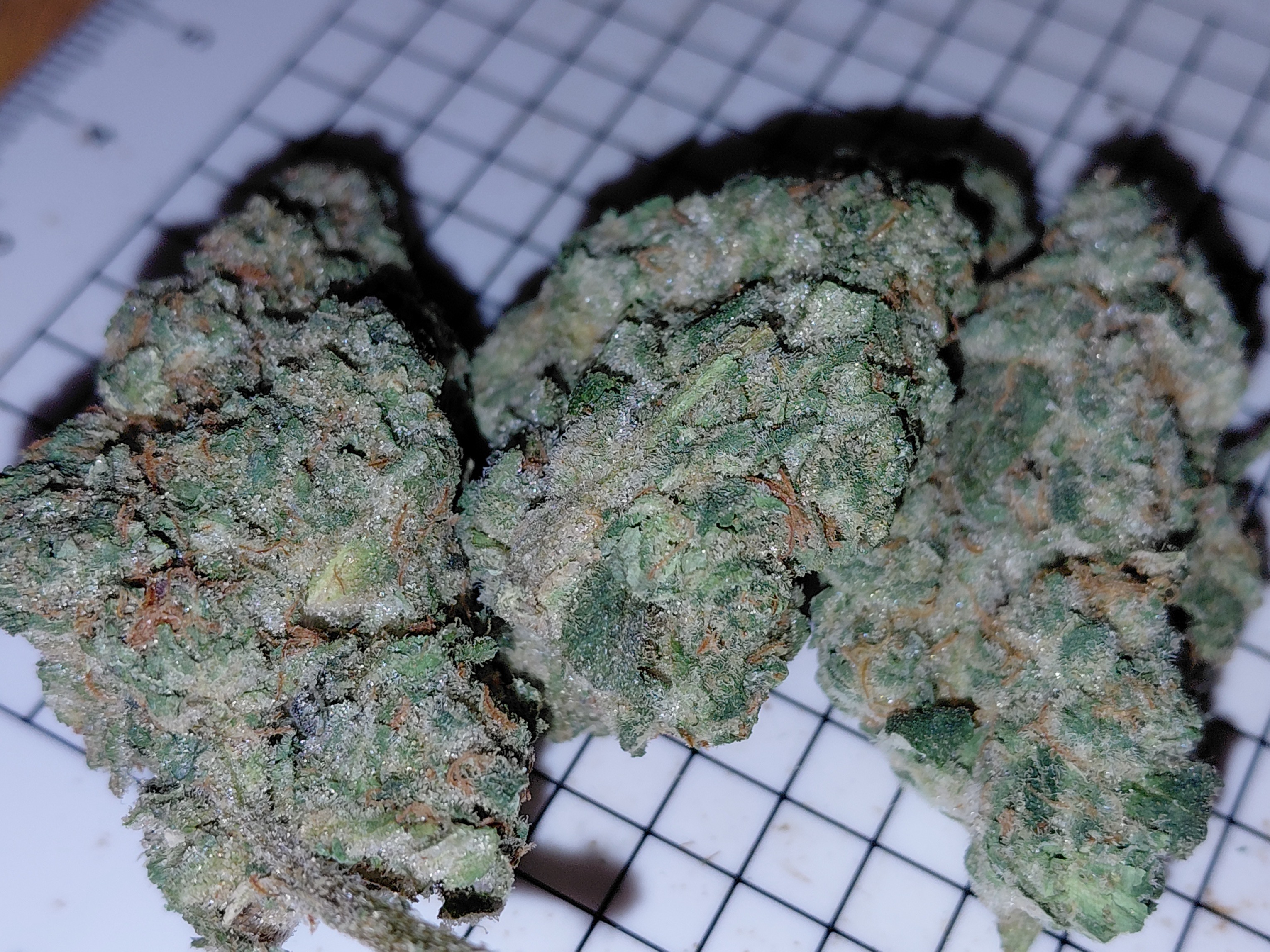 Canada's FREE Online Cannabis Store - Receive Up to 30 grams Donkey Butter