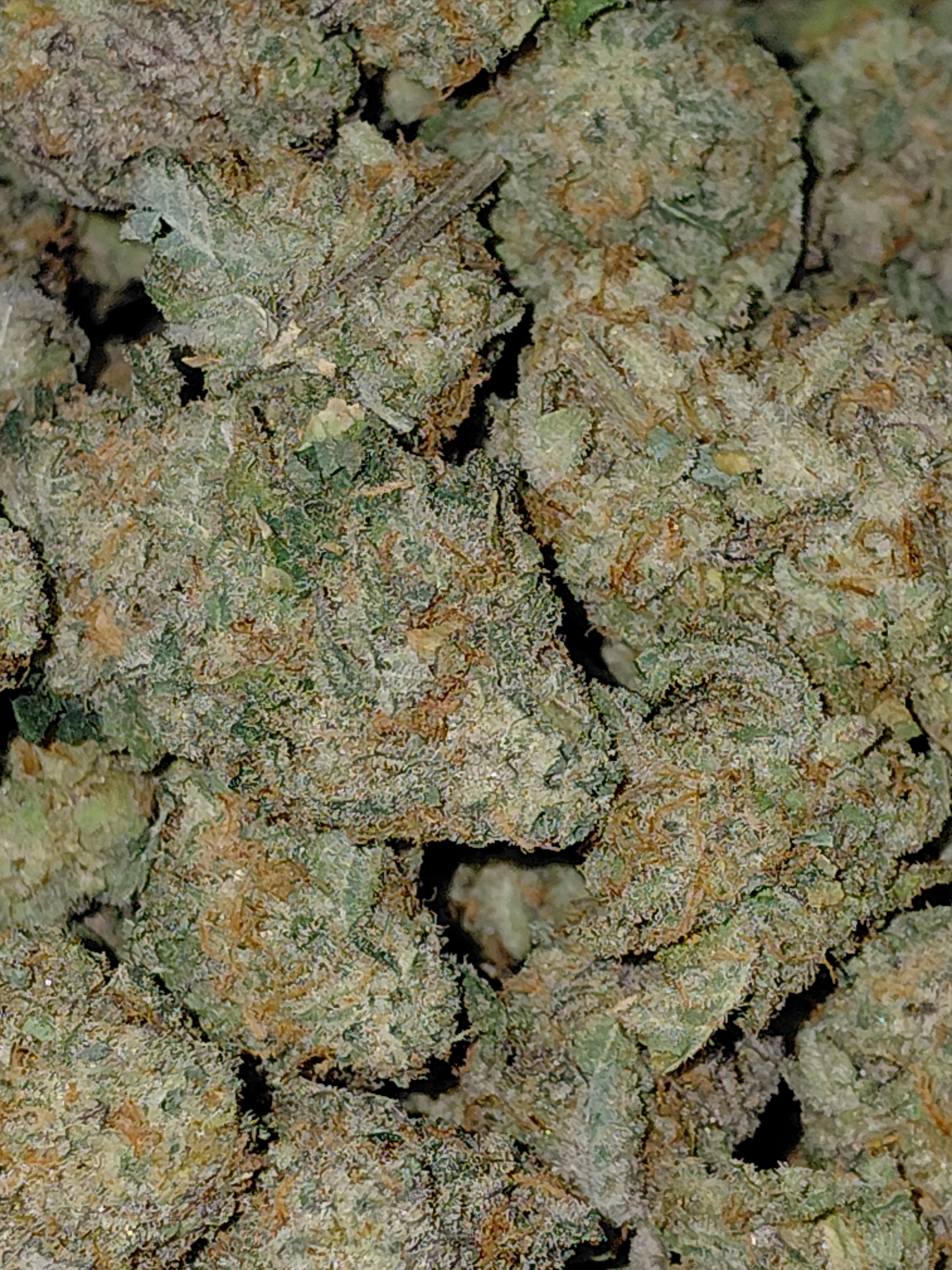 Canada's FREE Online Cannabis Store - Receive Up to 30 grams CEREAL MILK