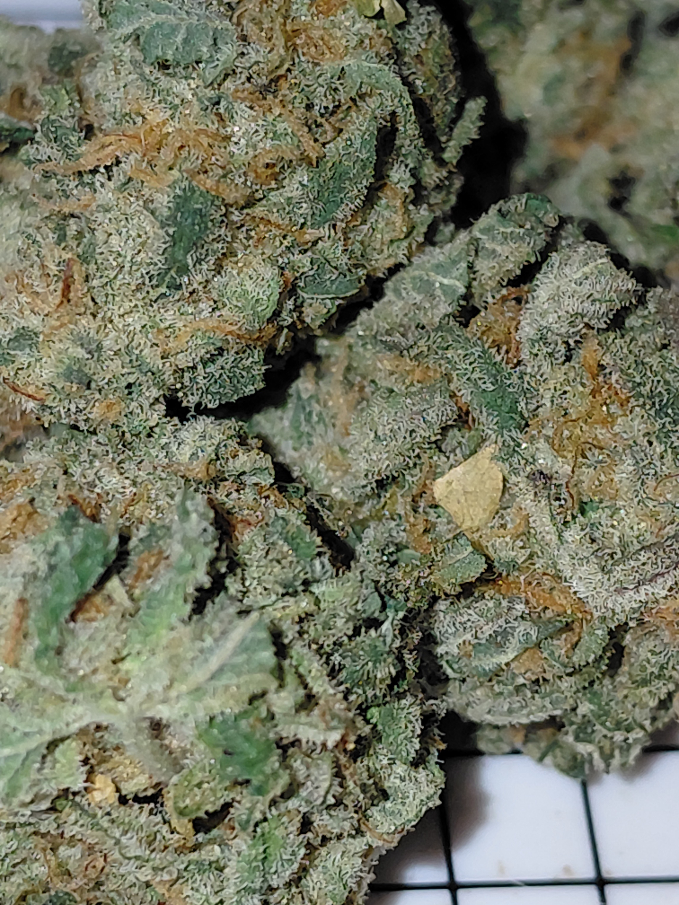 Canada's FREE Online Cannabis Store - Receive Up to 30 grams CEREAL MILK - Image 2