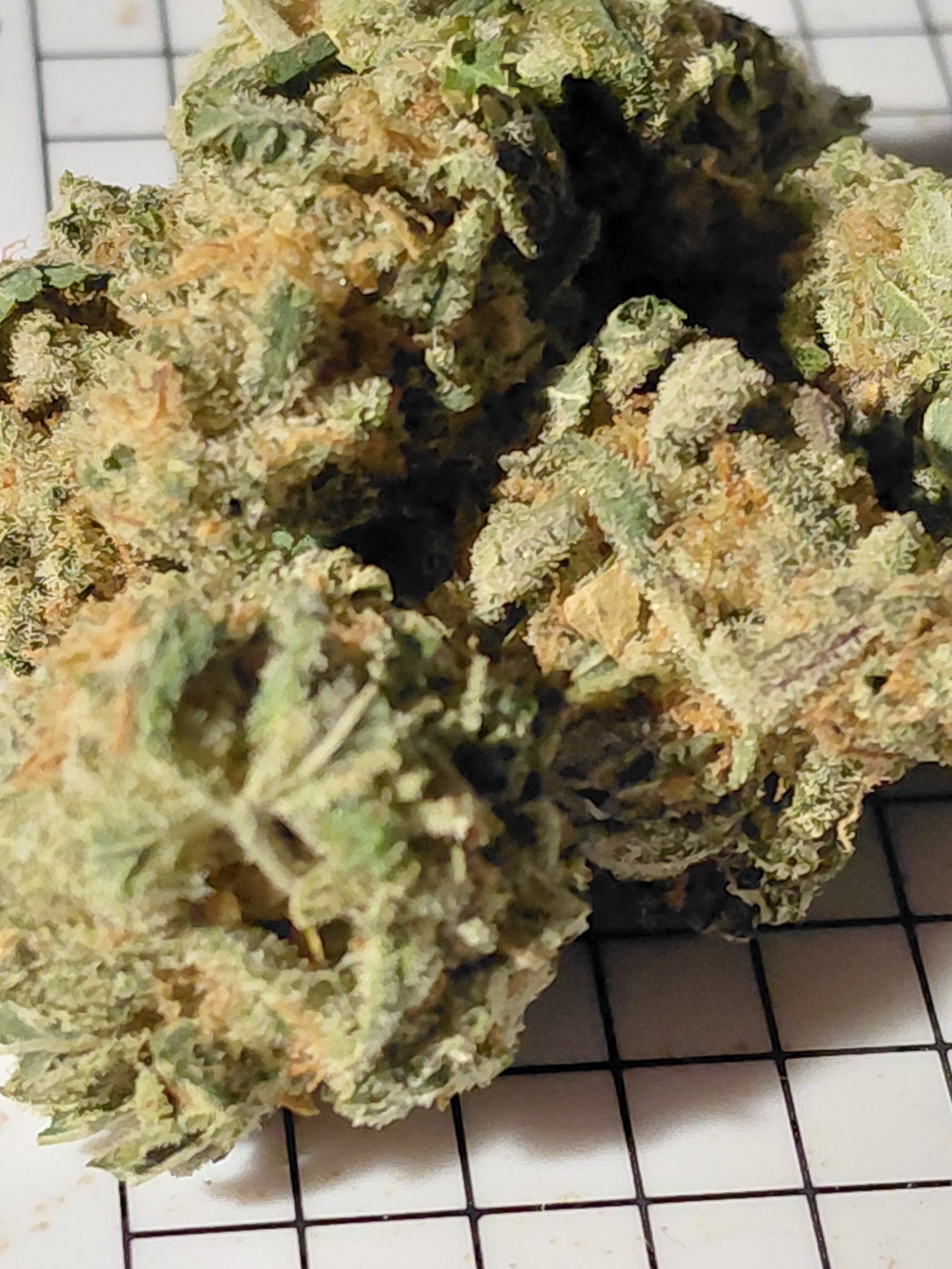 Canada's FREE Online Cannabis Store - Receive Up to 30 grams CEREAL MILK - Image 4