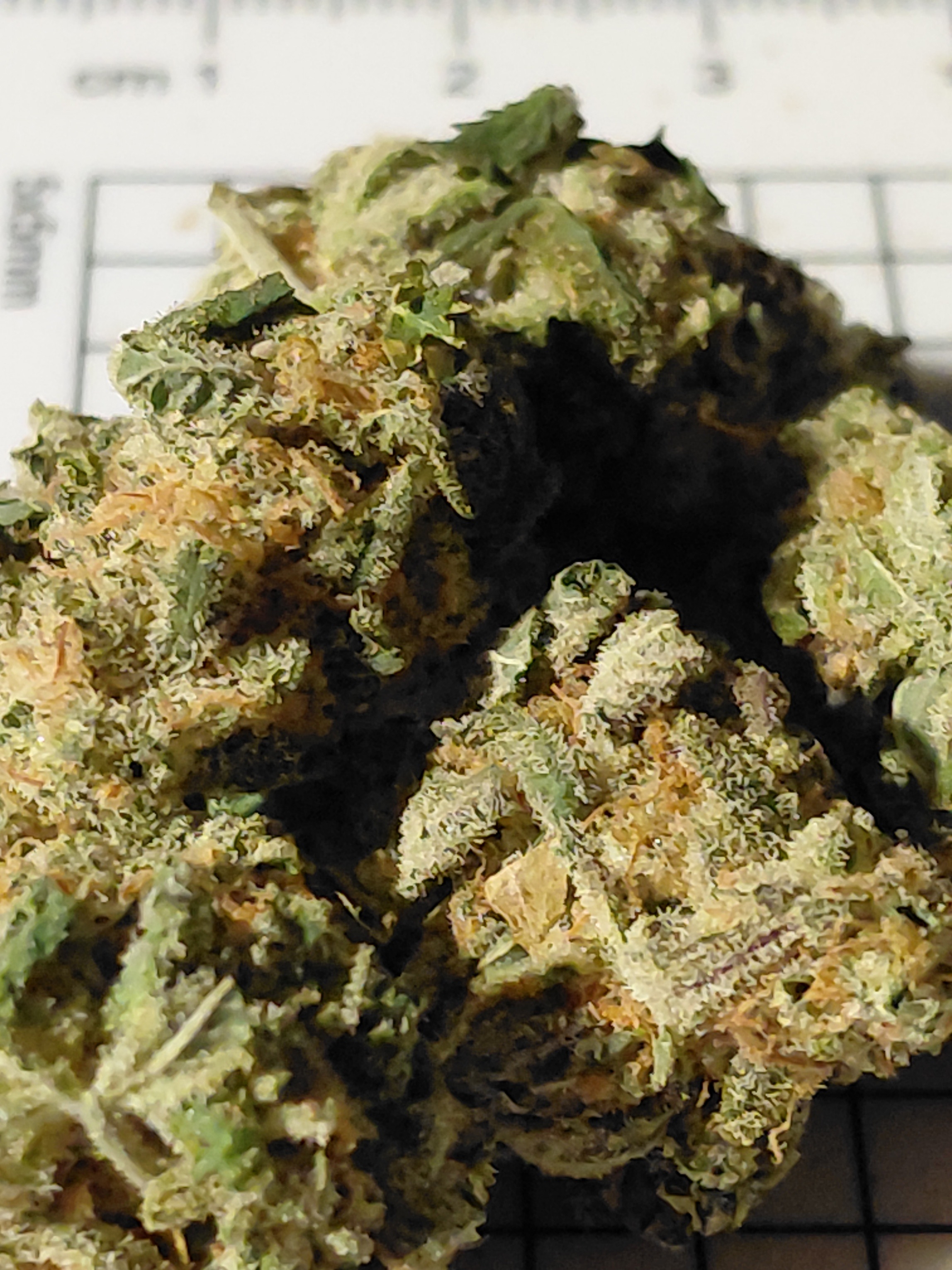 Canada's FREE Online Cannabis Store - Receive Up to 30 grams CEREAL MILK - Image 3