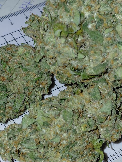 Canada's FREE Online Cannabis Store - Receive Up to 30 grams SOUR DIESEL