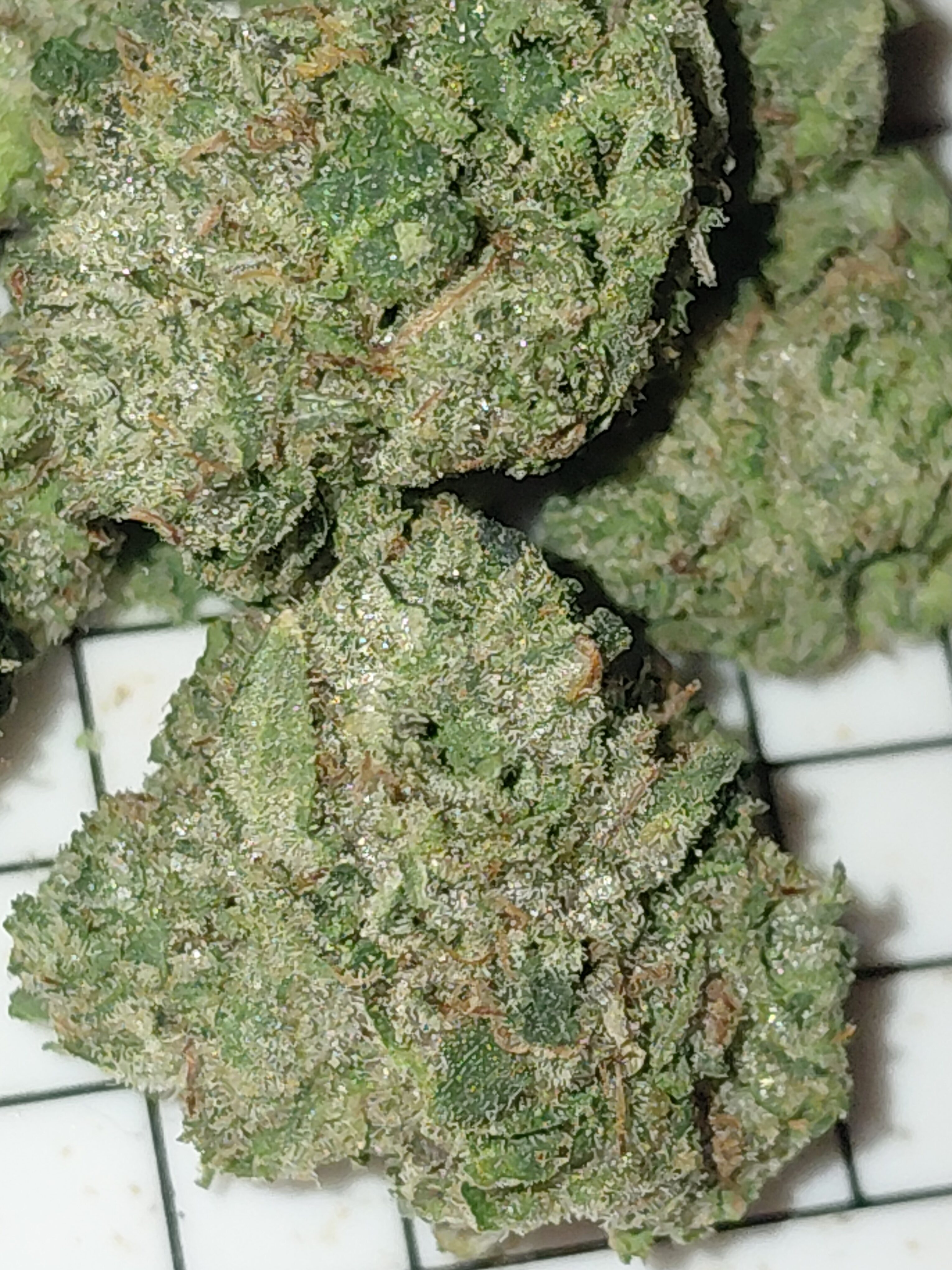Canada's FREE Online Cannabis Store - Receive Up to 30 grams Alien Cookies - Image 2